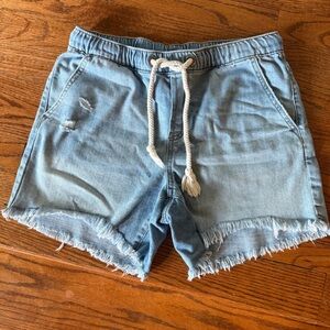 Aerie Light Blue Frayed Denim Shorts